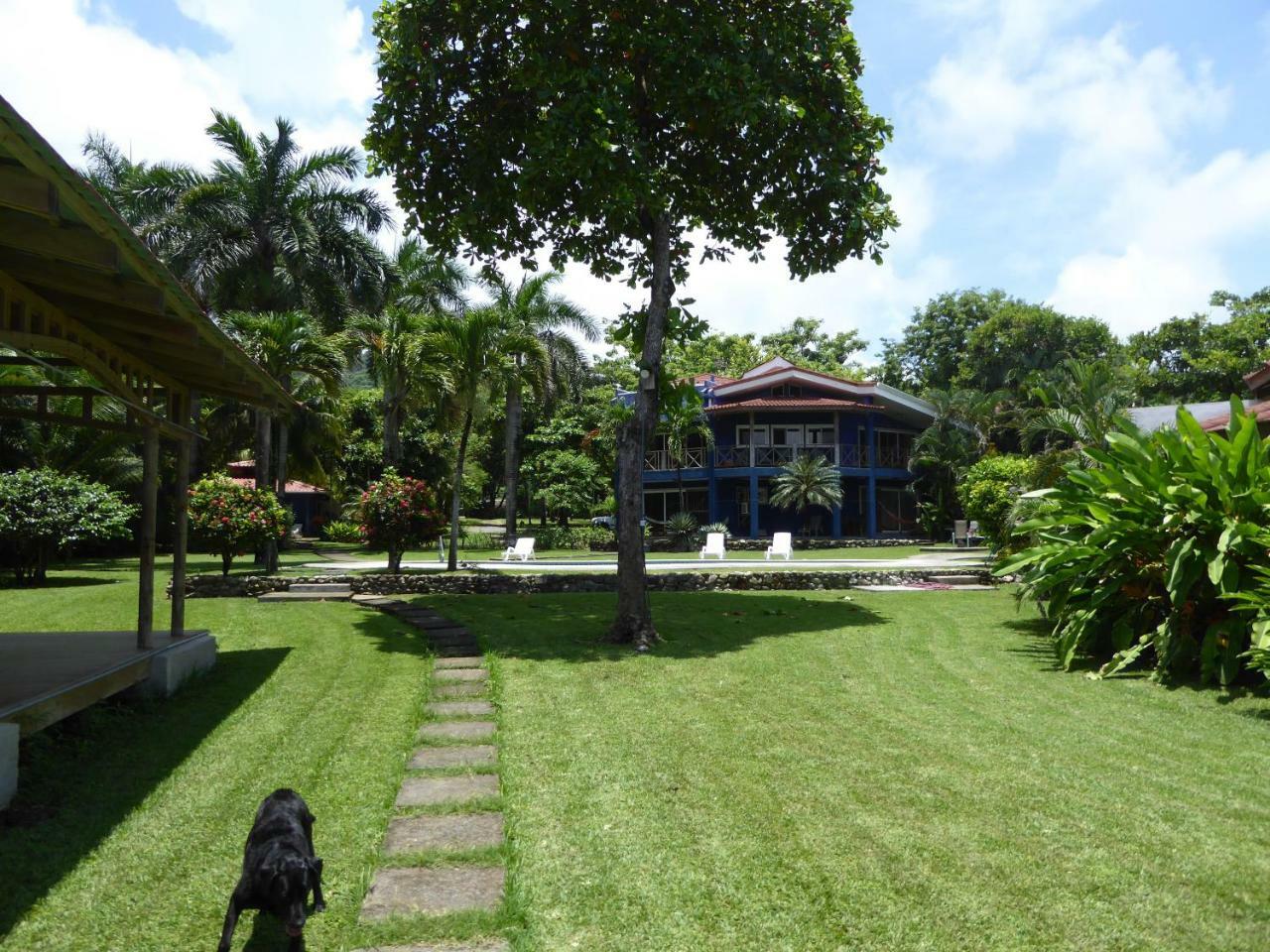 Hotel Casa Azul Playa Santa Teresa  Extérieur photo